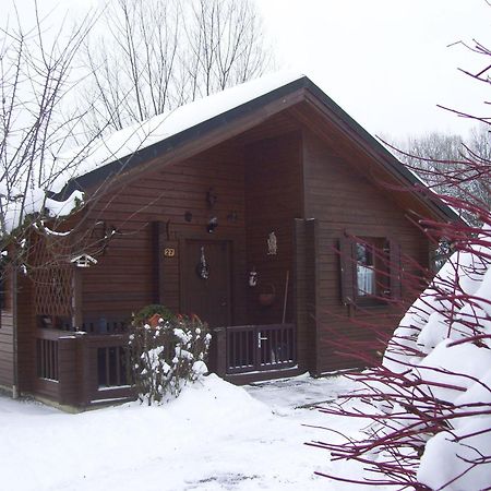 Komfortables-Ferienblockhaus-Nr-27-56-Qm-Bis-4-Personen-Viechtach-Jaegerpark المظهر الخارجي الصورة